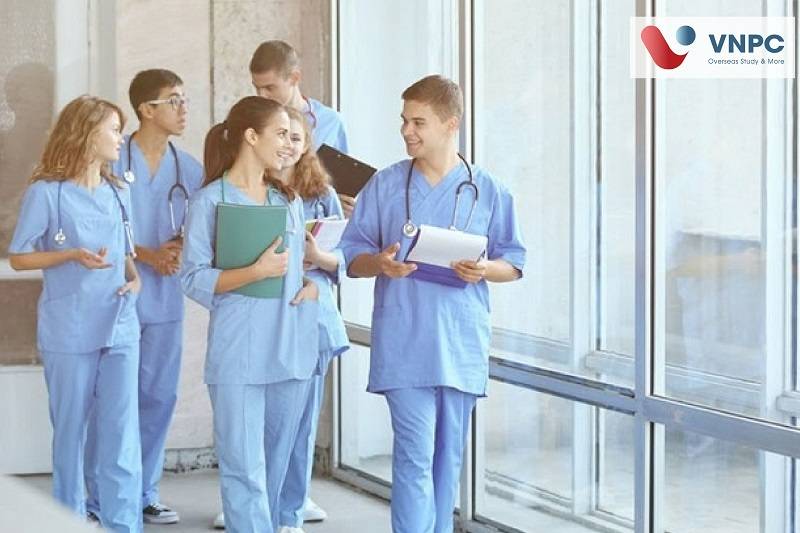 KING88 là nhà cái giải trí đỉnh cao Hàn Quốc ngành điều dưỡng